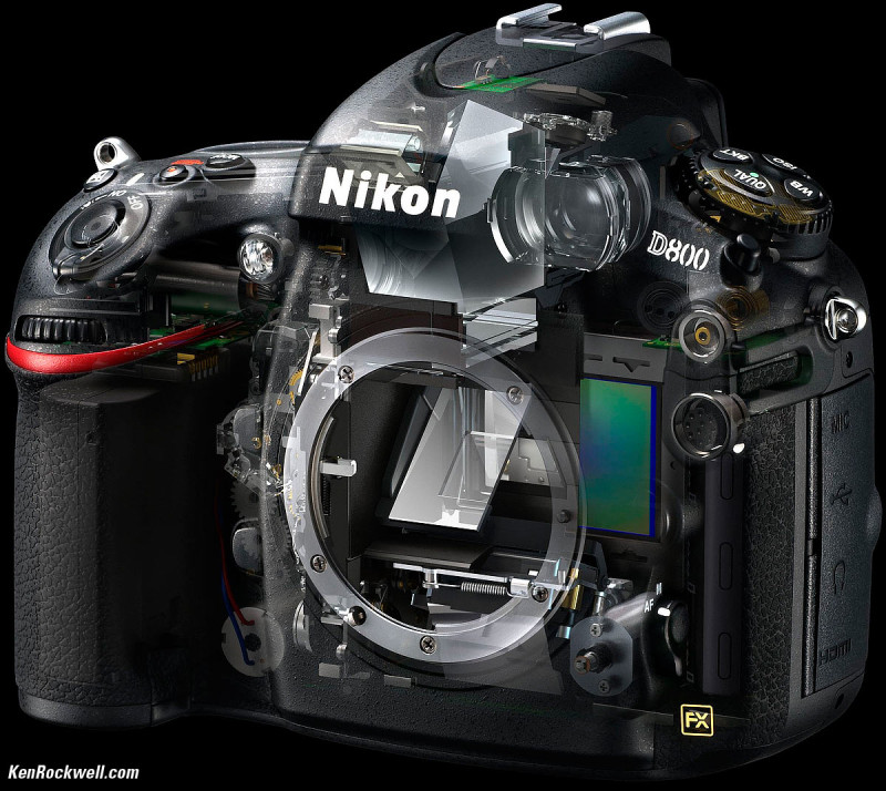 Nikon D800 pod stromekem