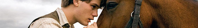 war horse