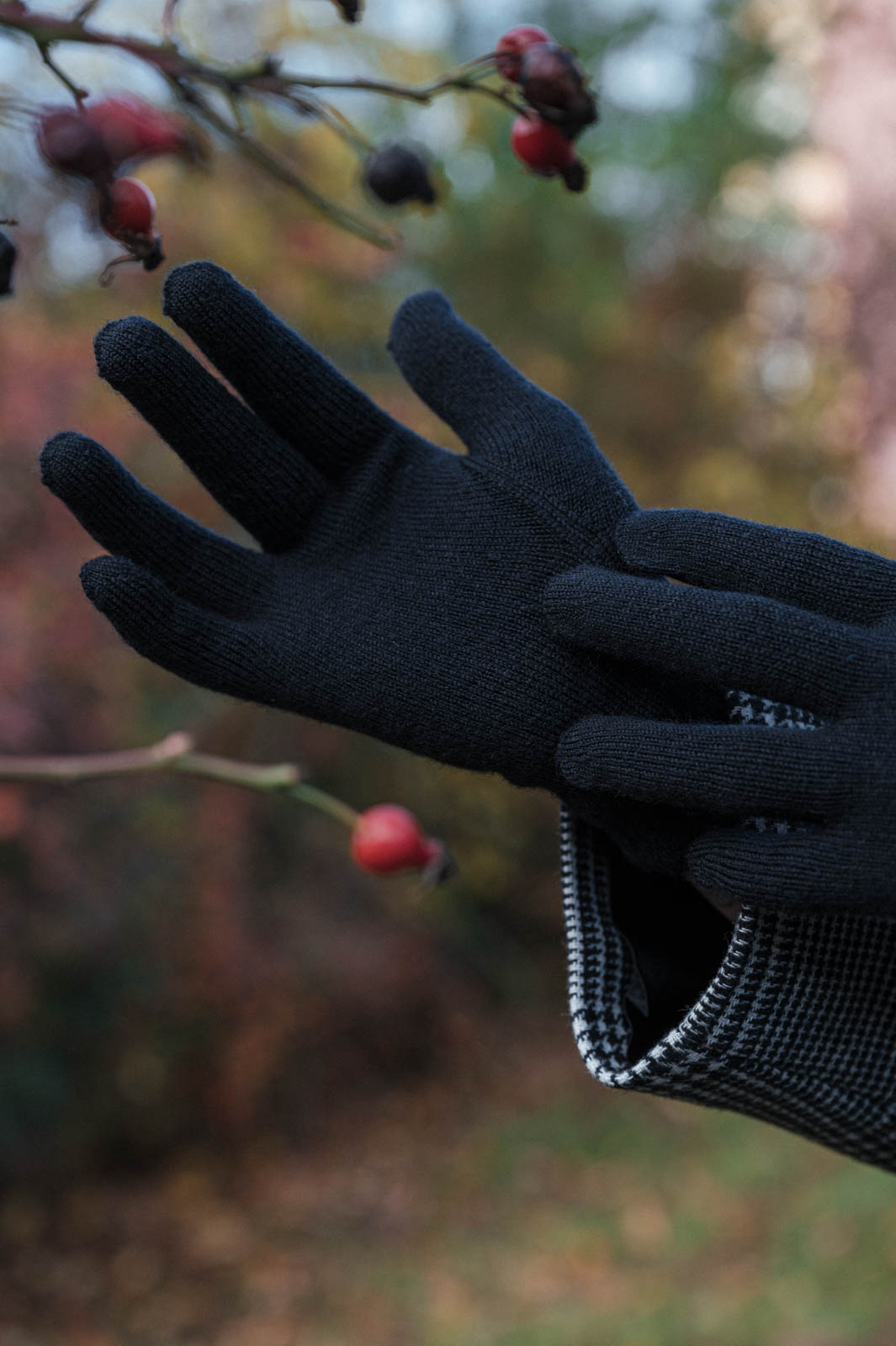 gloves merino Glove merino black