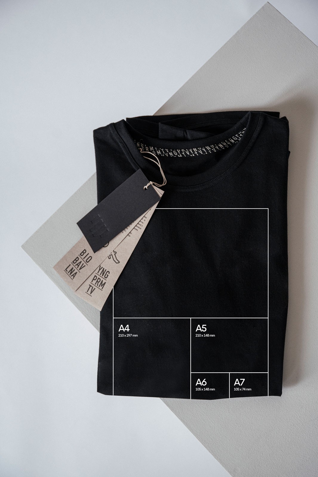 pánské tričko Format černá